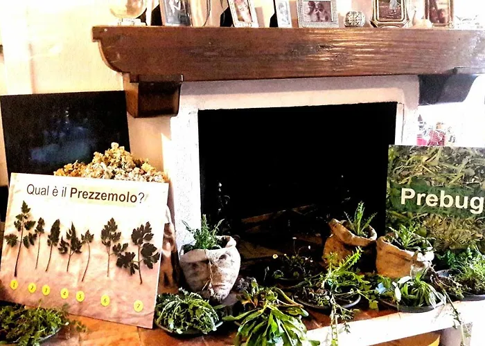 Bed & Breakfast The Italian Riviera San Salvatore (Genoa)