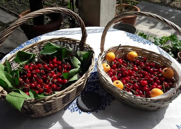 The Italian Riviera Bed & Breakfast