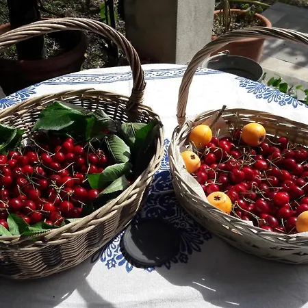 The Italian Riviera Bed & Breakfast